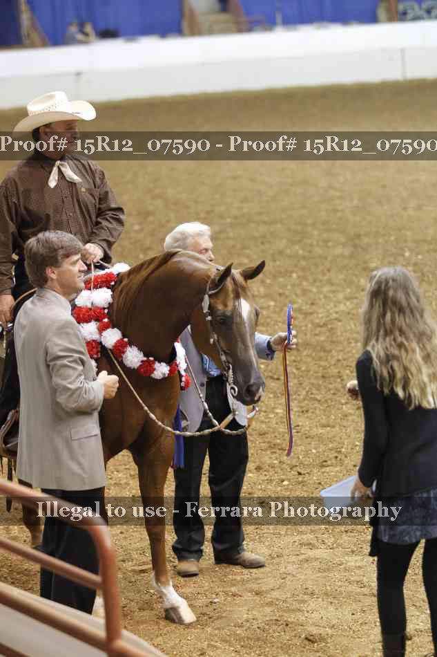 Proof Number 15R12_07590