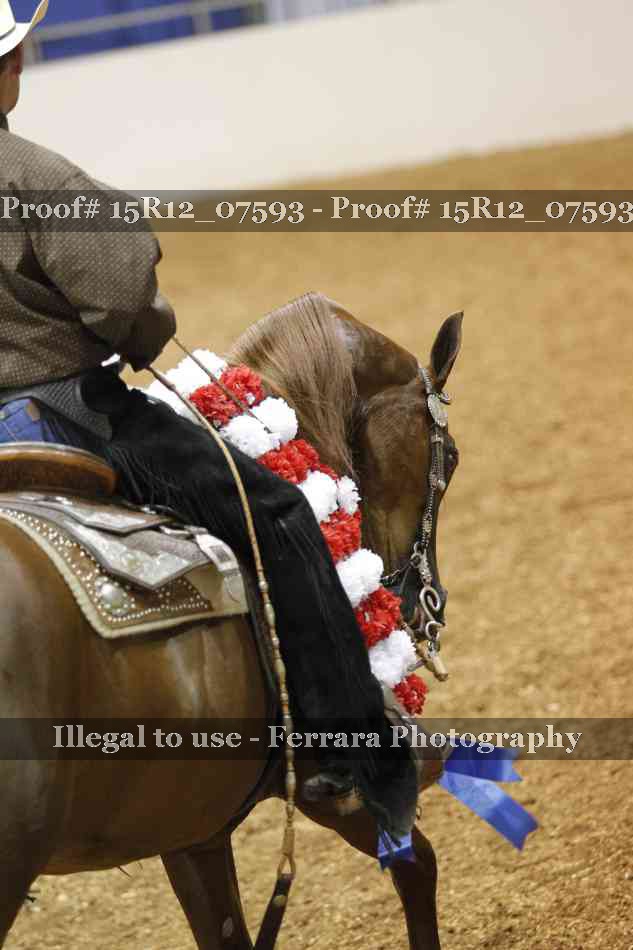 Proof Number 15R12_07593