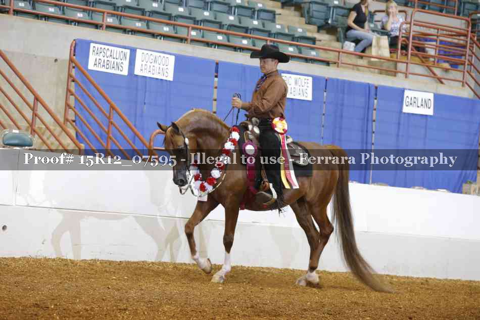 Proof Number 15R12_07595