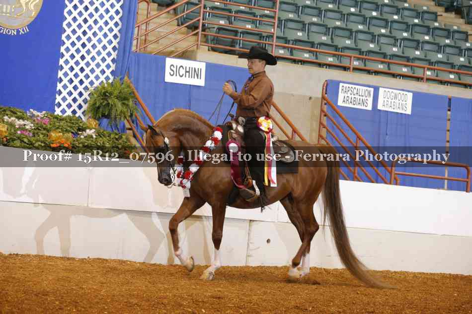 Proof Number 15R12_07596