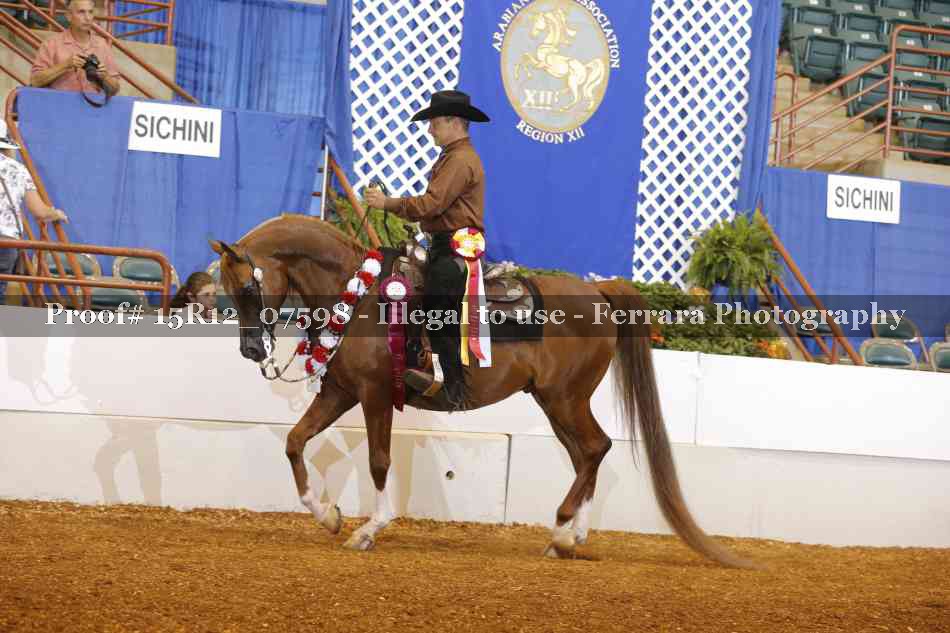 Proof Number 15R12_07598