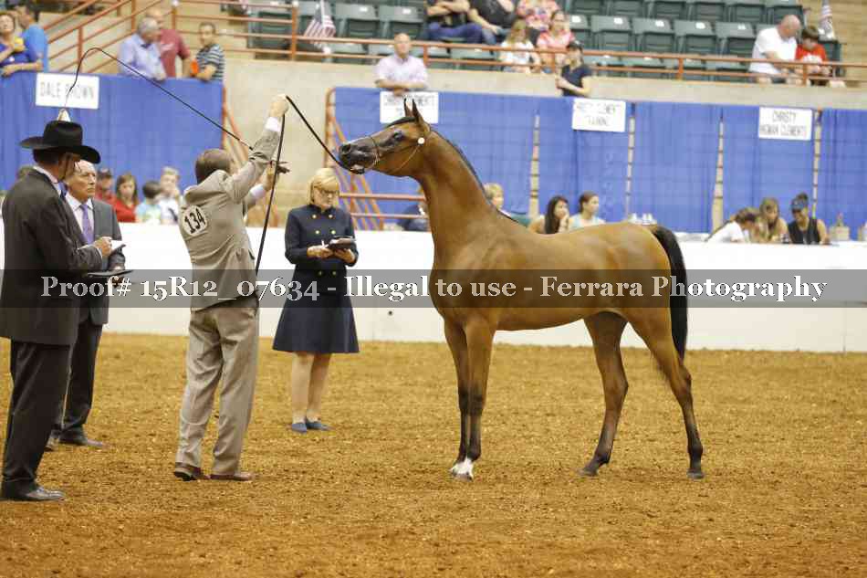 Proof Number 15R12_07634