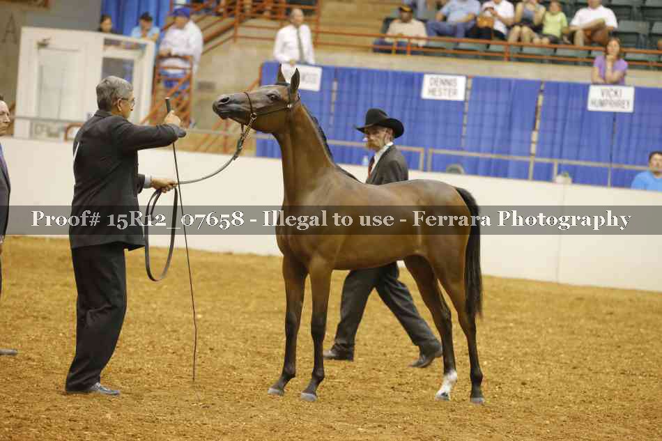 Proof Number 15R12_07658