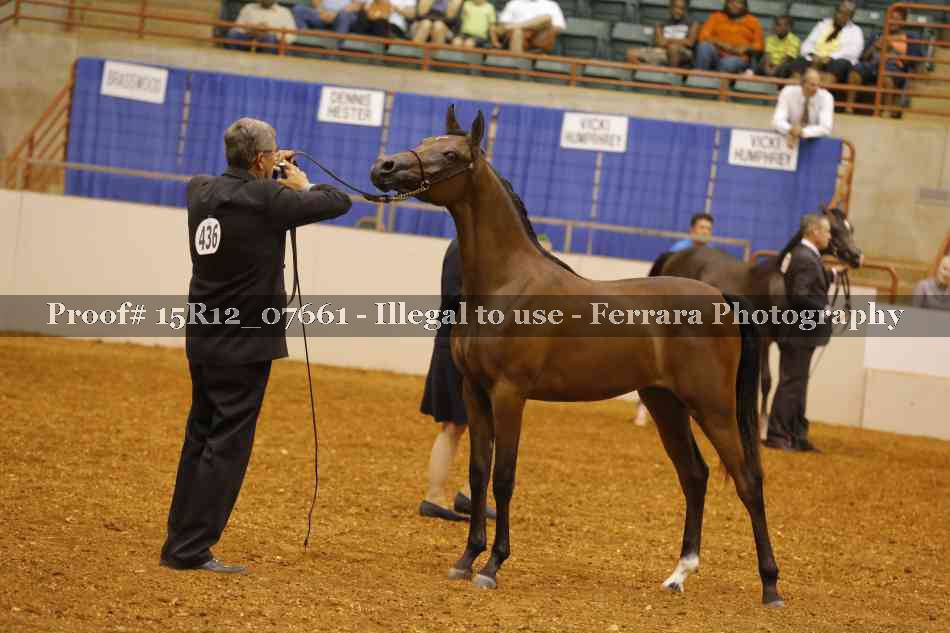 Proof Number 15R12_07661
