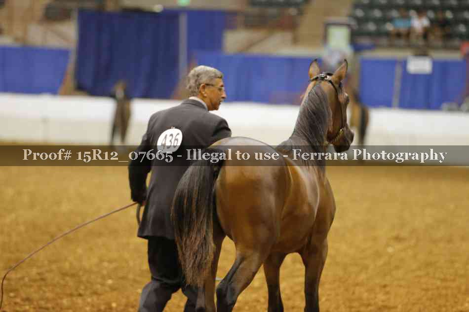 Proof Number 15R12_07665