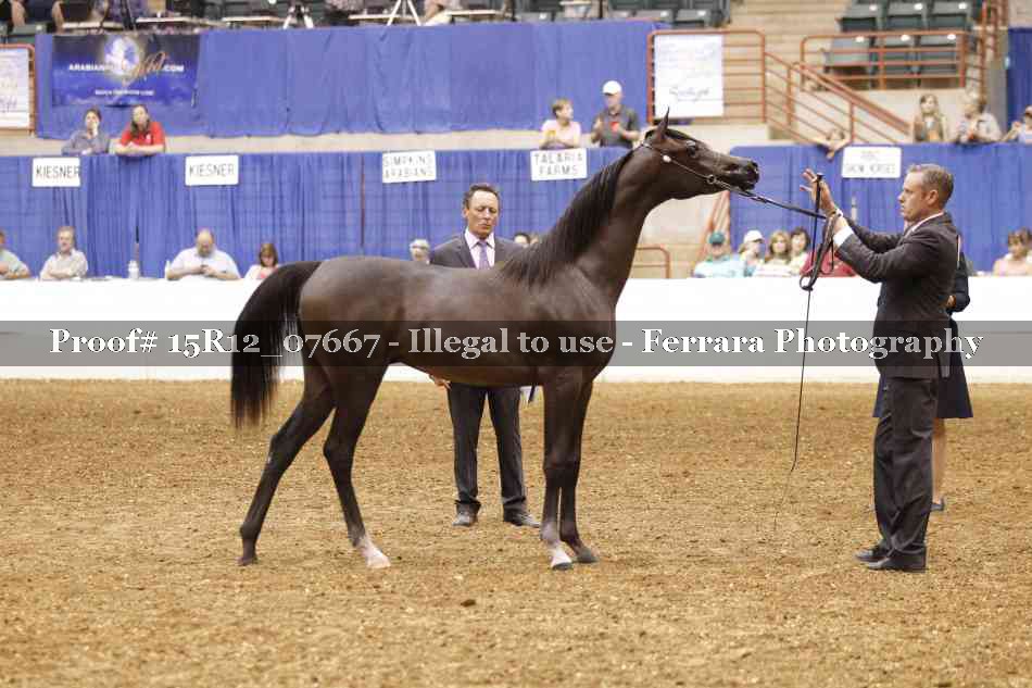 Proof Number 15R12_07667