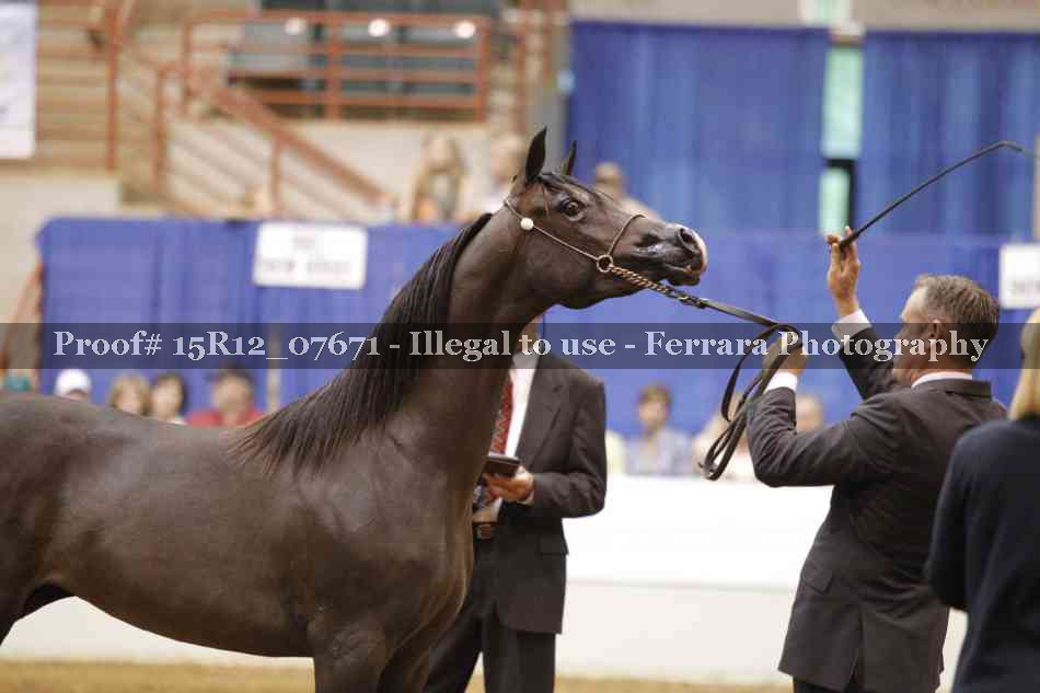 Proof Number 15R12_07671