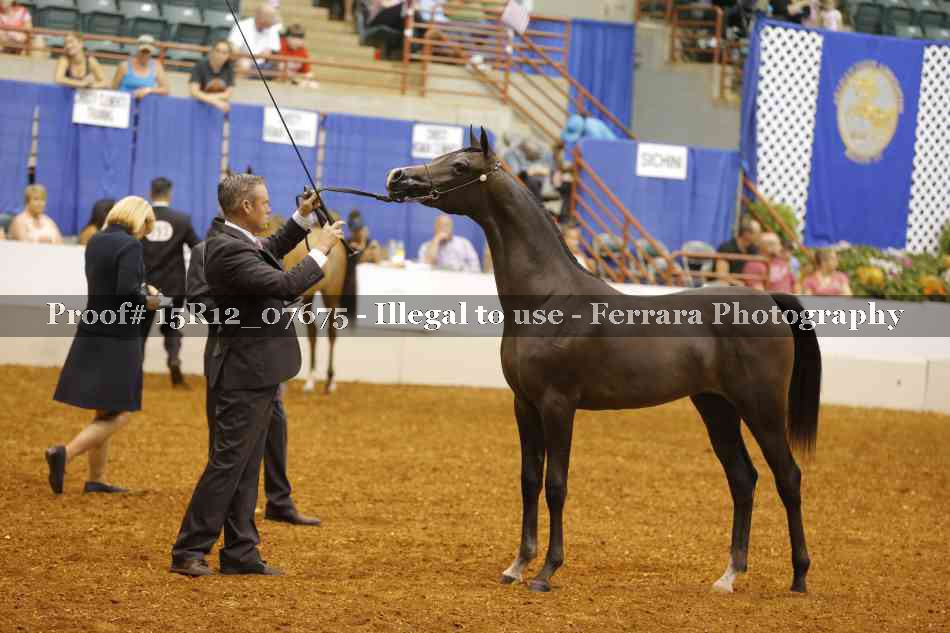 Proof Number 15R12_07675