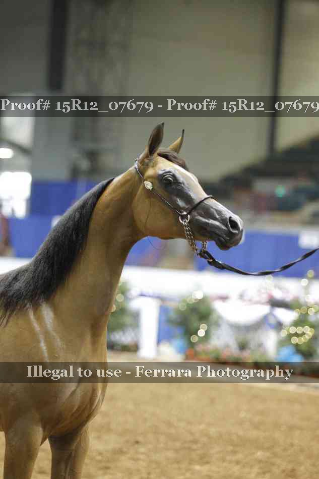 Proof Number 15R12_07679