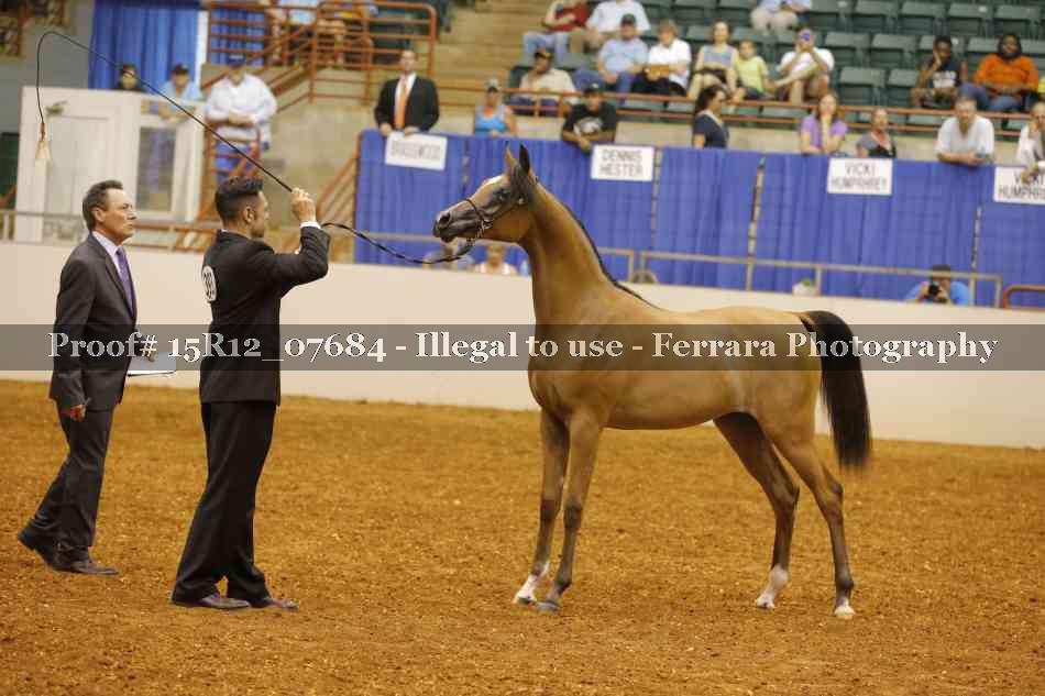 Proof Number 15R12_07684