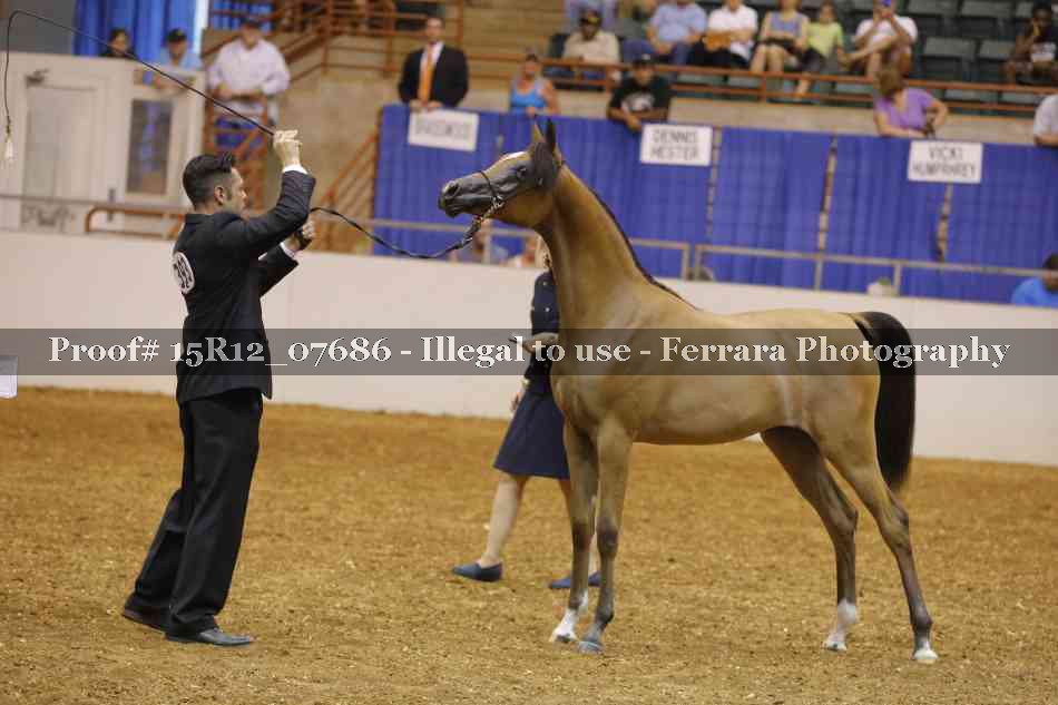 Proof Number 15R12_07686