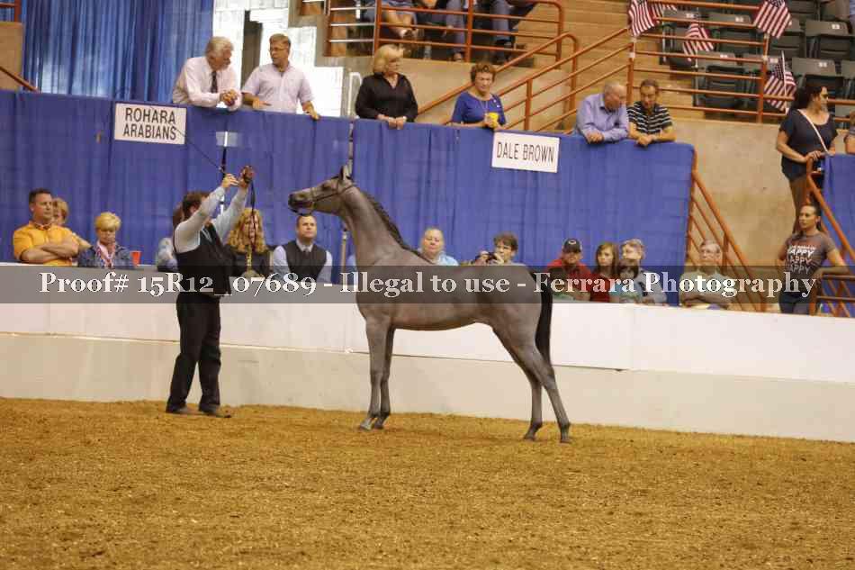 Proof Number 15R12_07689