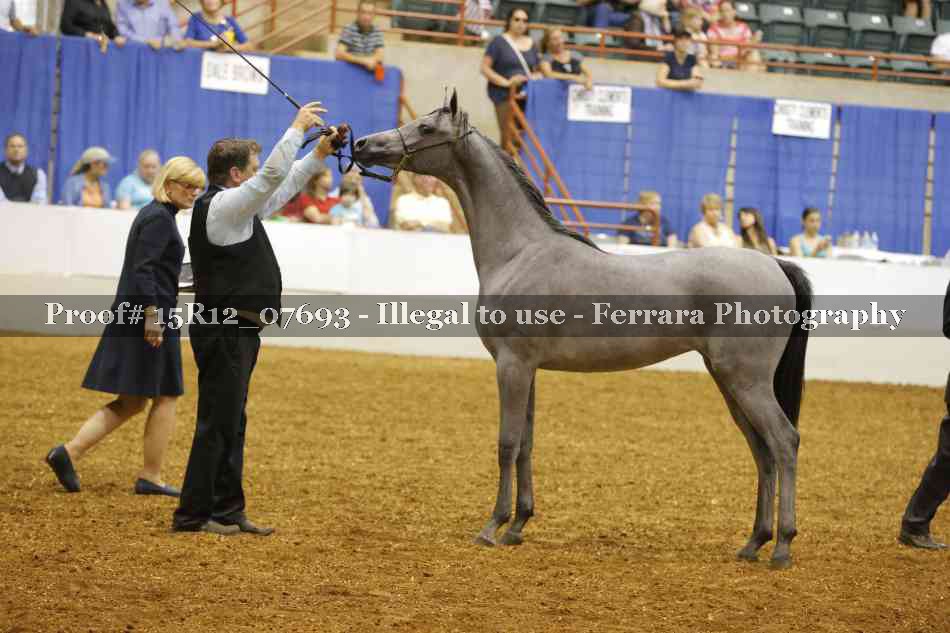 Proof Number 15R12_07693
