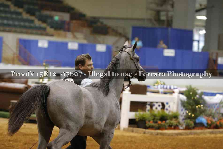 Proof Number 15R12_07697