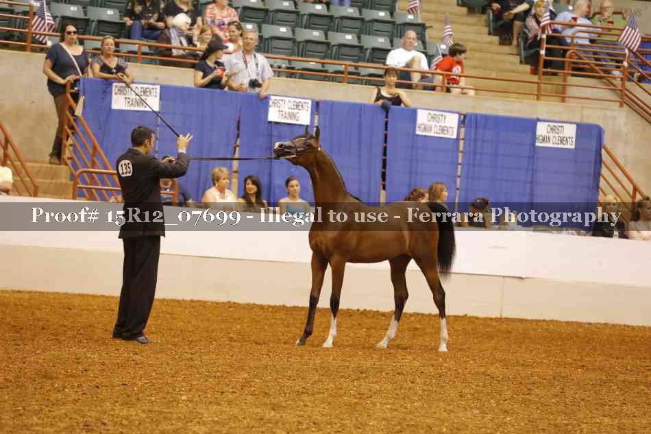 Proof Number 15R12_07699