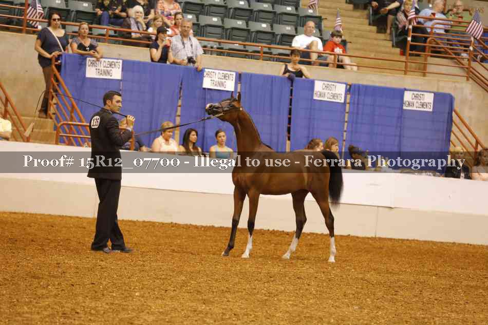 Proof Number 15R12_07700