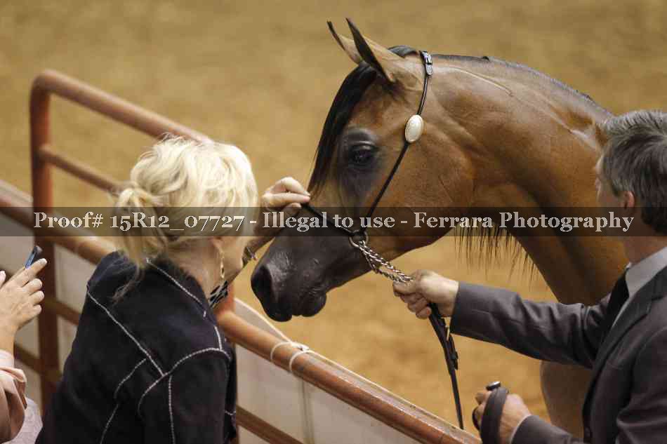 Proof Number 15R12_07727