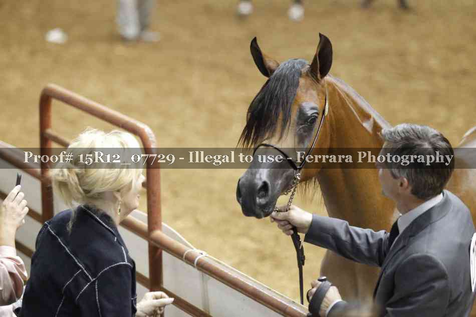 Proof Number 15R12_07729