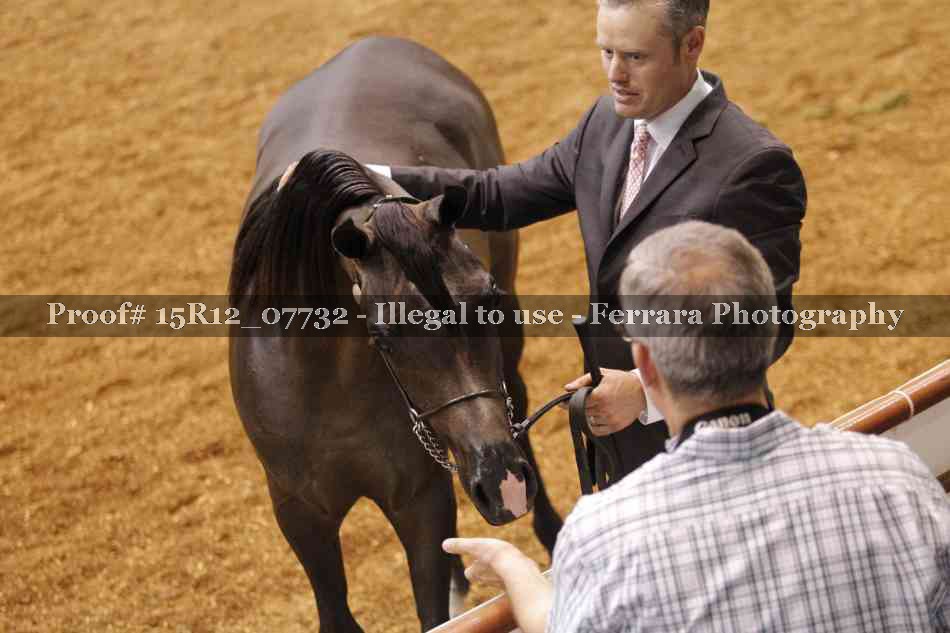 Proof Number 15R12_07732
