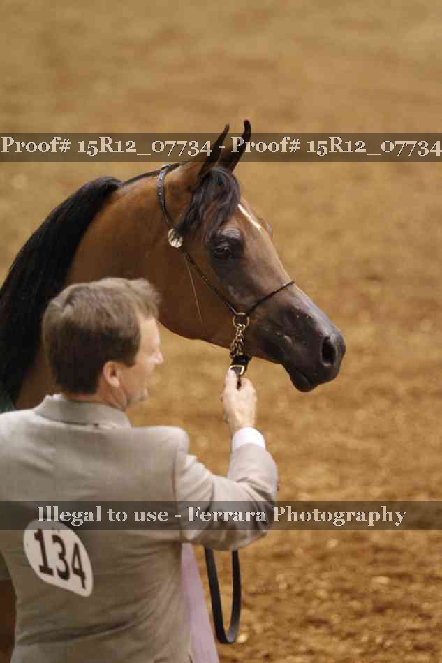 Proof Number 15R12_07734
