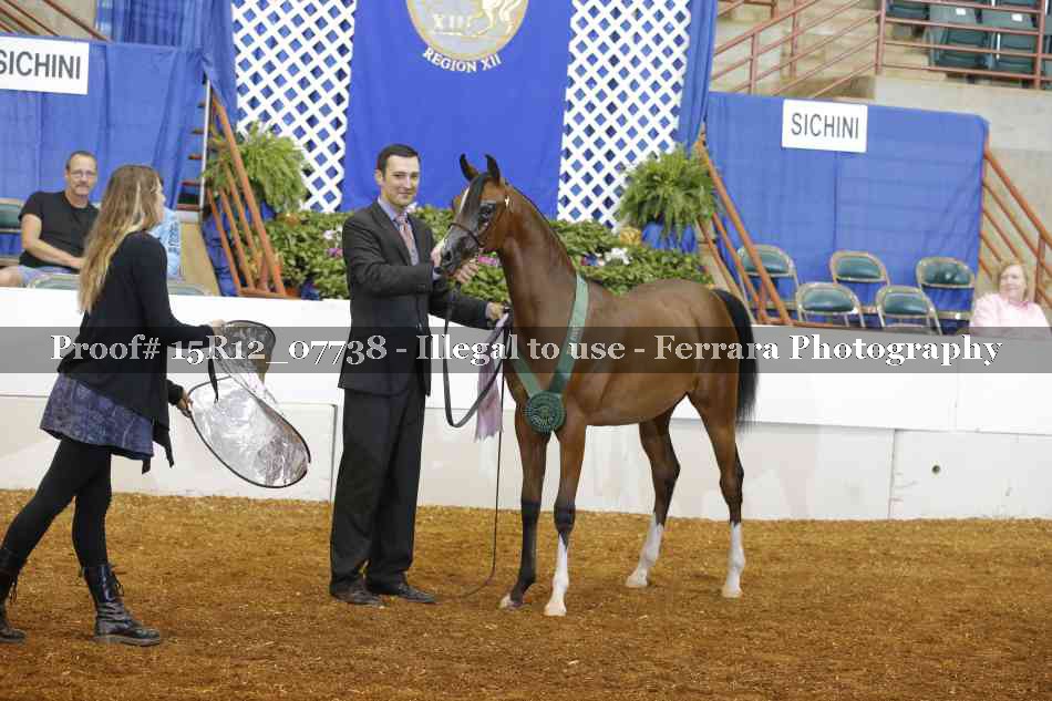 Proof Number 15R12_07738