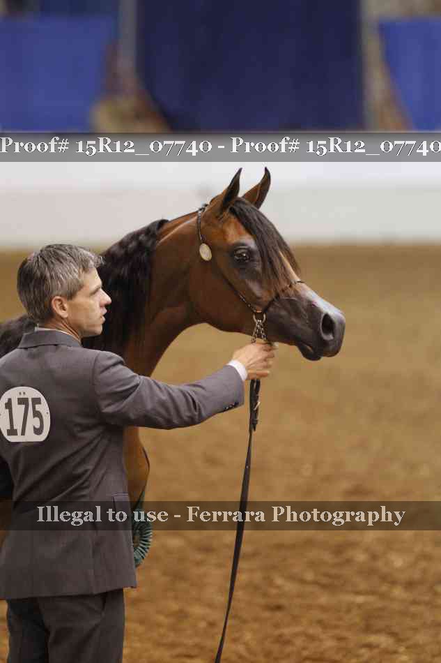 Proof Number 15R12_07740
