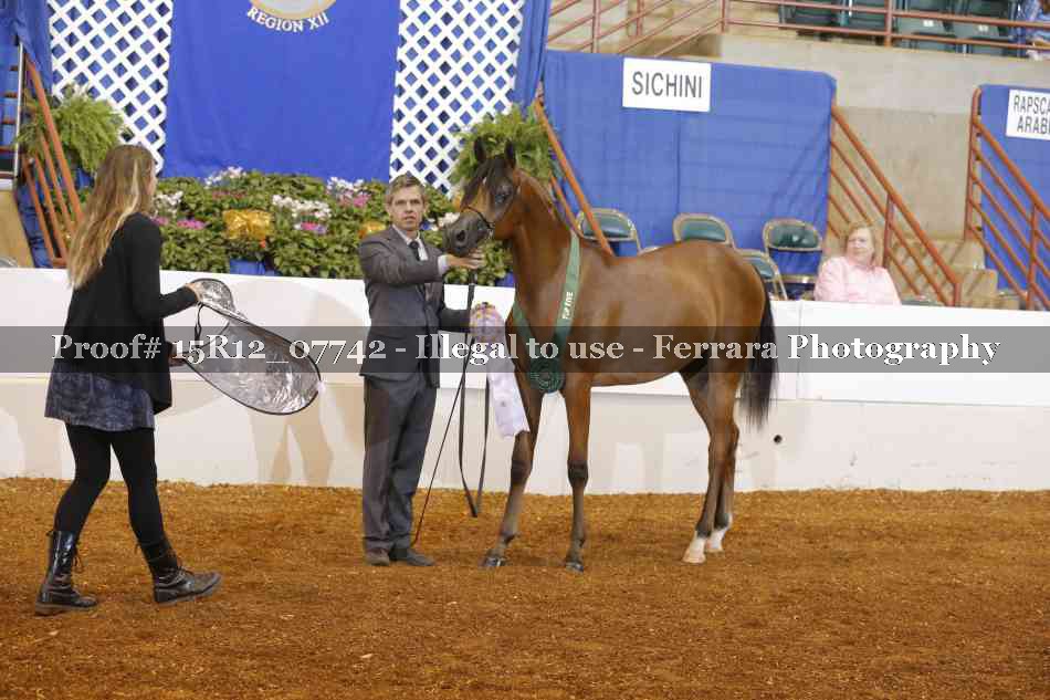 Proof Number 15R12_07742