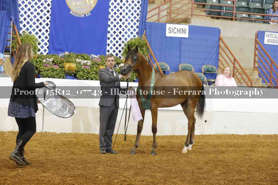 Proof Number 15R12_07743