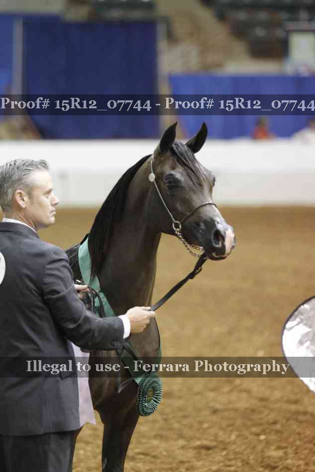 Proof Number 15R12_07744