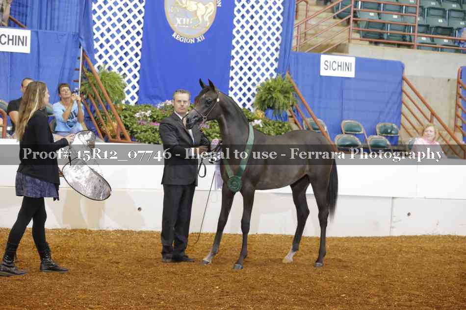 Proof Number 15R12_07746