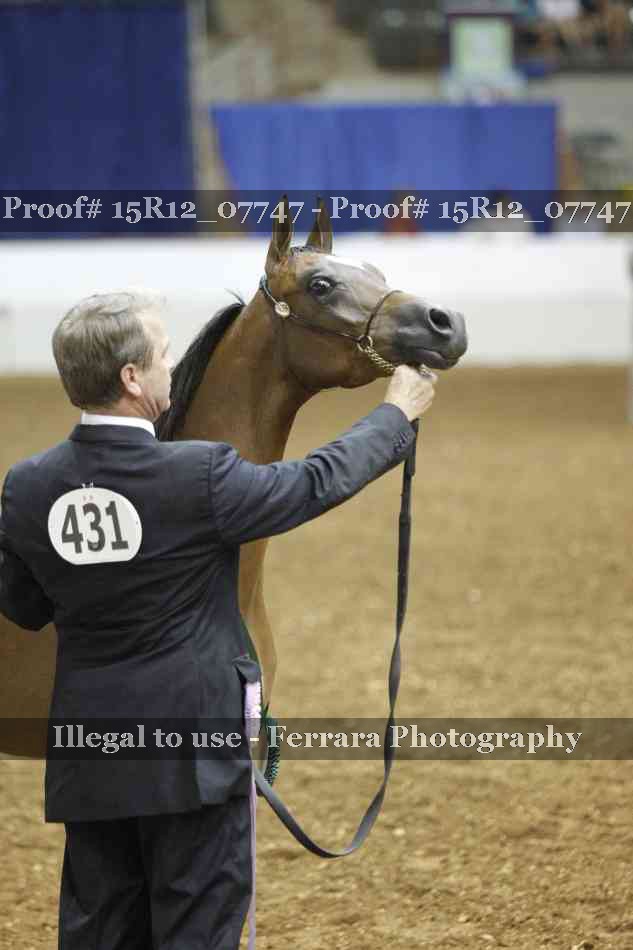 Proof Number 15R12_07747