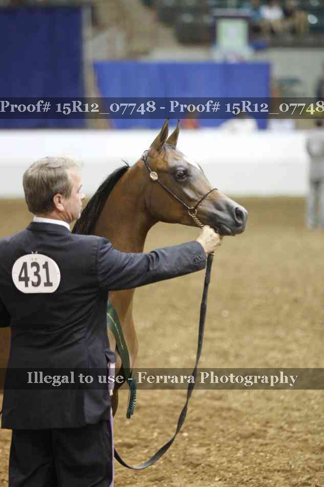 Proof Number 15R12_07748