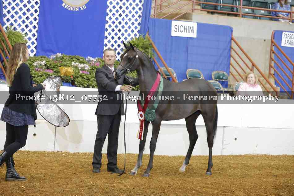 Proof Number 15R12_07752
