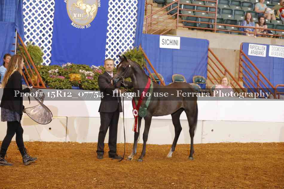 Proof Number 15R12_07754