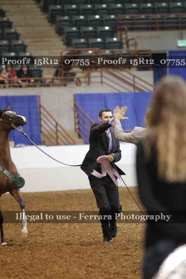 Proof Number 15R12_07755