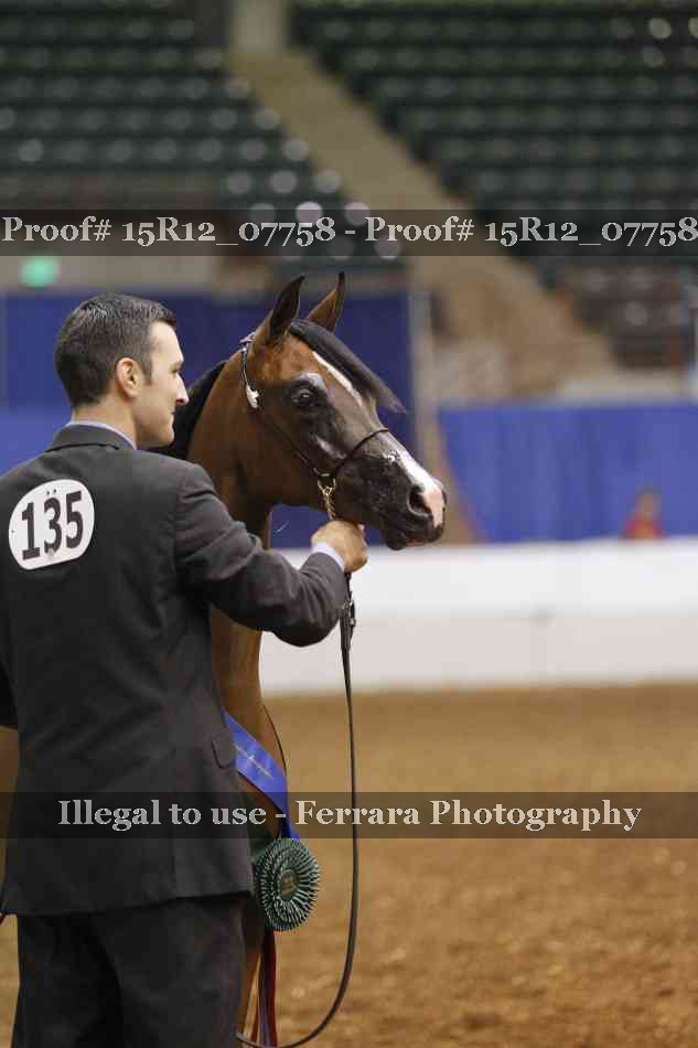 Proof Number 15R12_07758