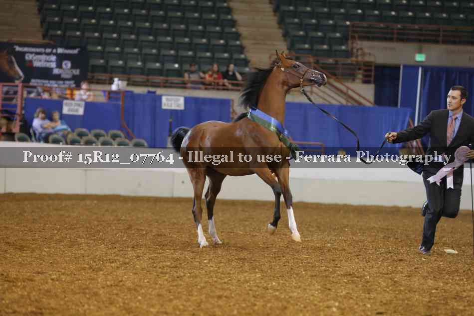 Proof Number 15R12_07764