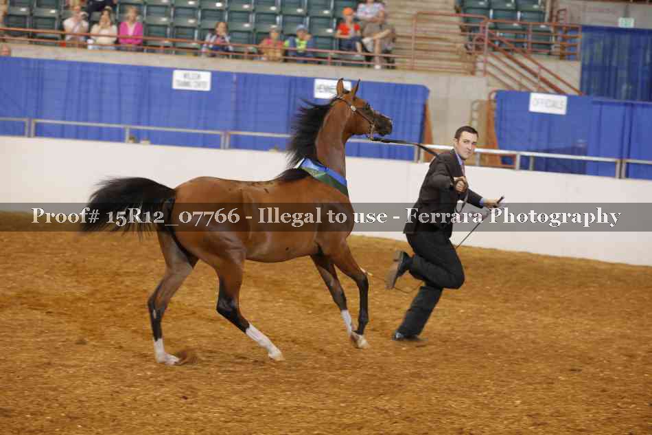 Proof Number 15R12_07766