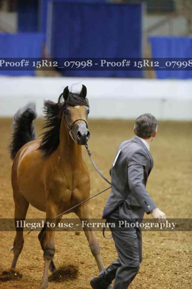 Proof Number 15R12_07998