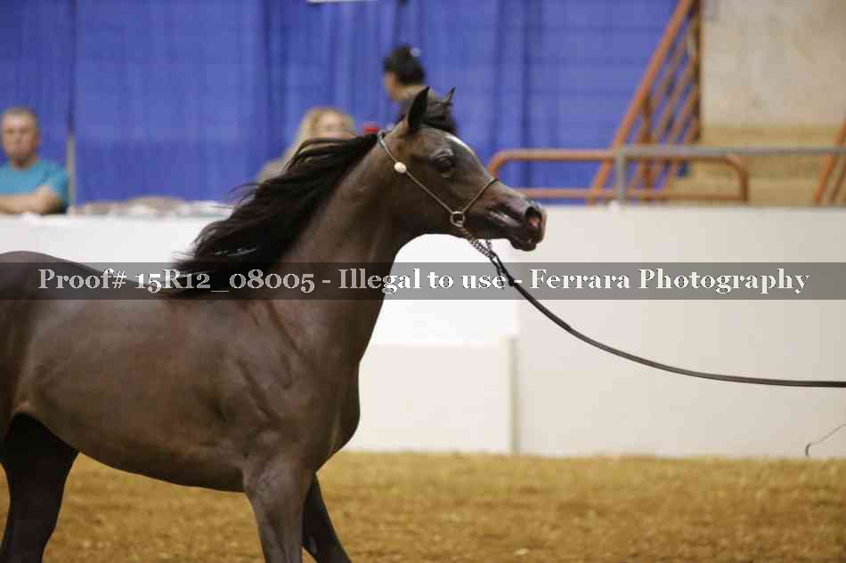 Proof Number 15R12_08005