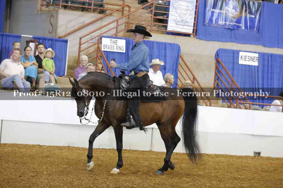 Proof Number 15R12_08010