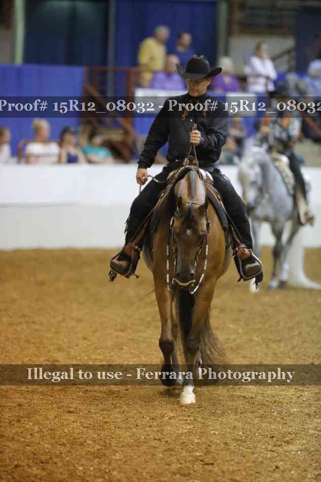 Proof Number 15R12_08032