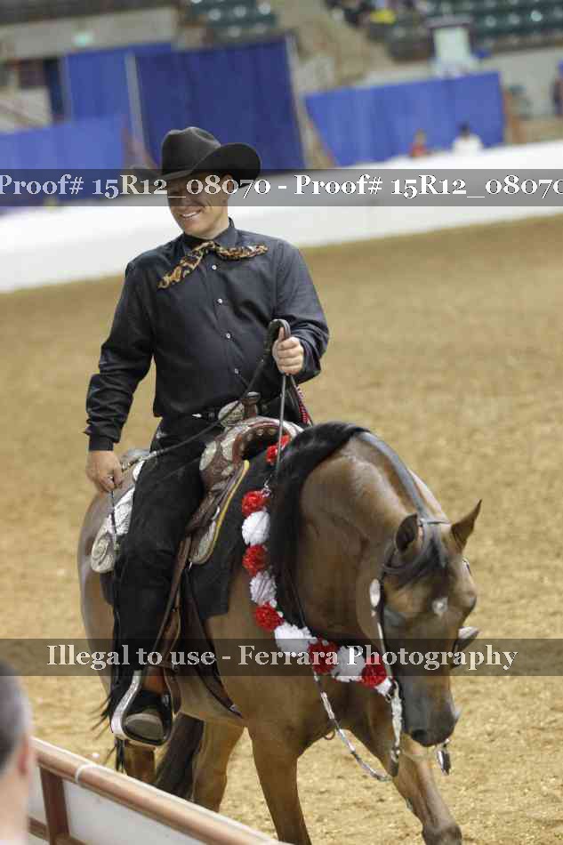 Proof Number 15R12_08070