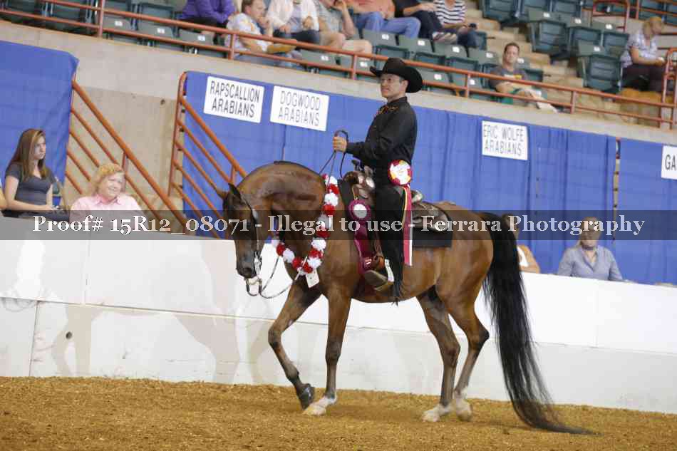 Proof Number 15R12_08071