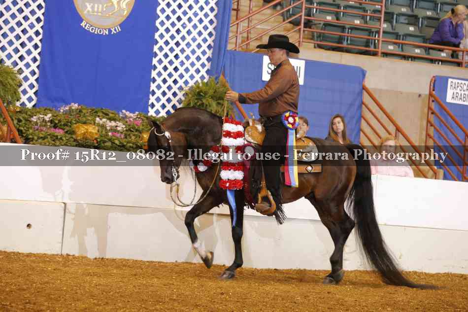 Proof Number 15R12_08082