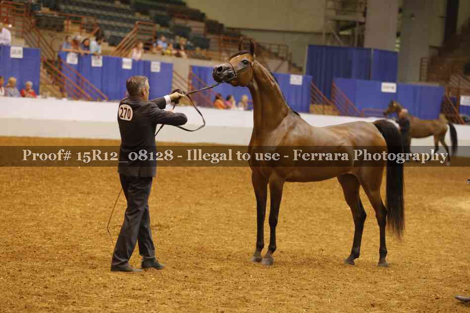 Proof Number 15R12_08128