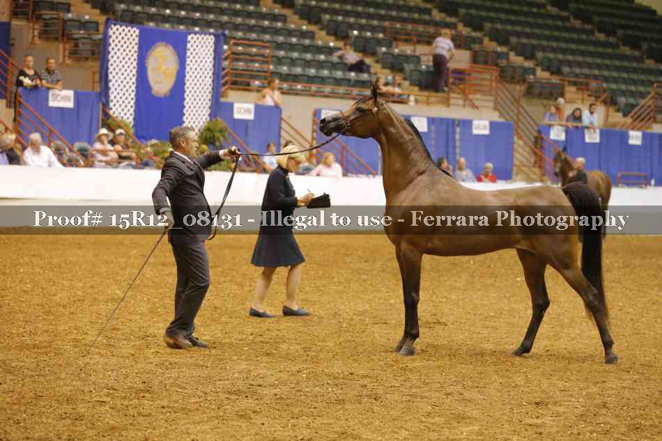 Proof Number 15R12_08131