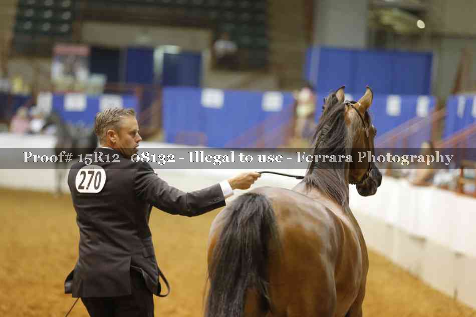 Proof Number 15R12_08132