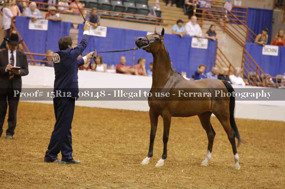 Proof Number 15R12_08148