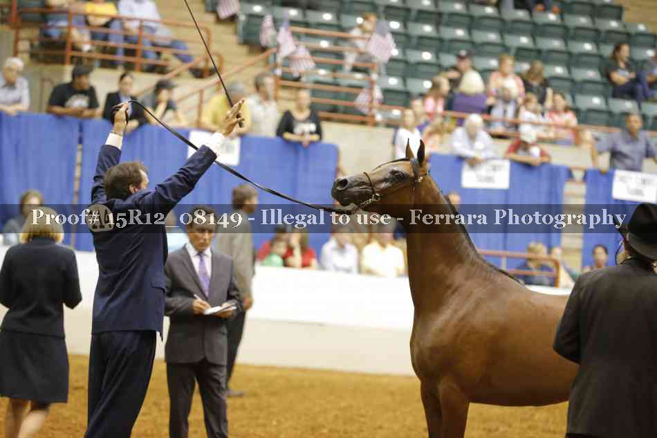 Proof Number 15R12_08149